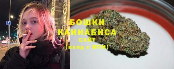 молекула духа Арсеньев