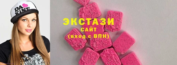 молекула духа Арсеньев