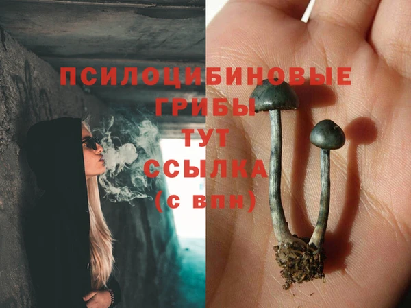 тгк Армянск