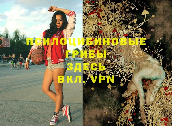 тгк Армянск