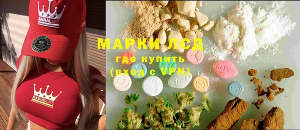 молекула духа Арсеньев