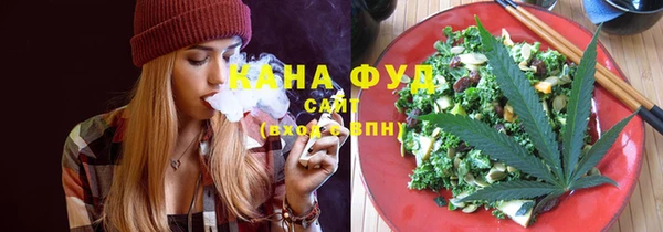 молекула духа Арсеньев